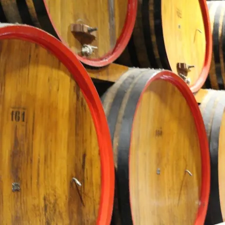 度假居 Il Glicine